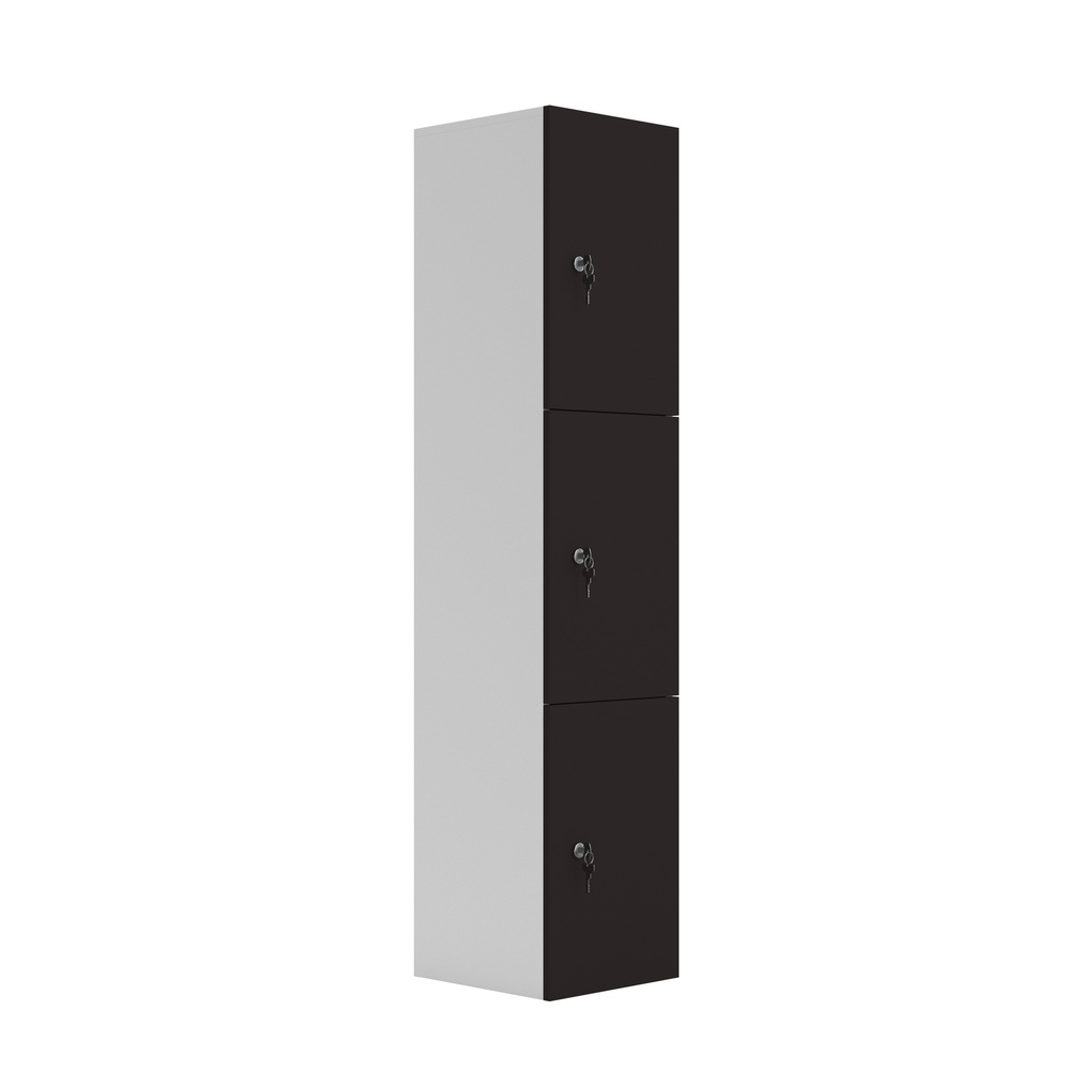 Wooden Locker (FSC) | 3 Doors | Black