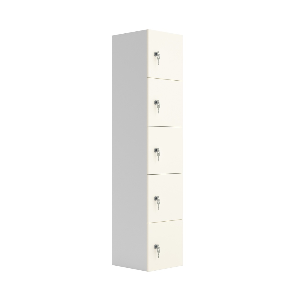 5 Door Unit Complete With Shelf, Coat Hooks, Cam Lock, White (FSC)