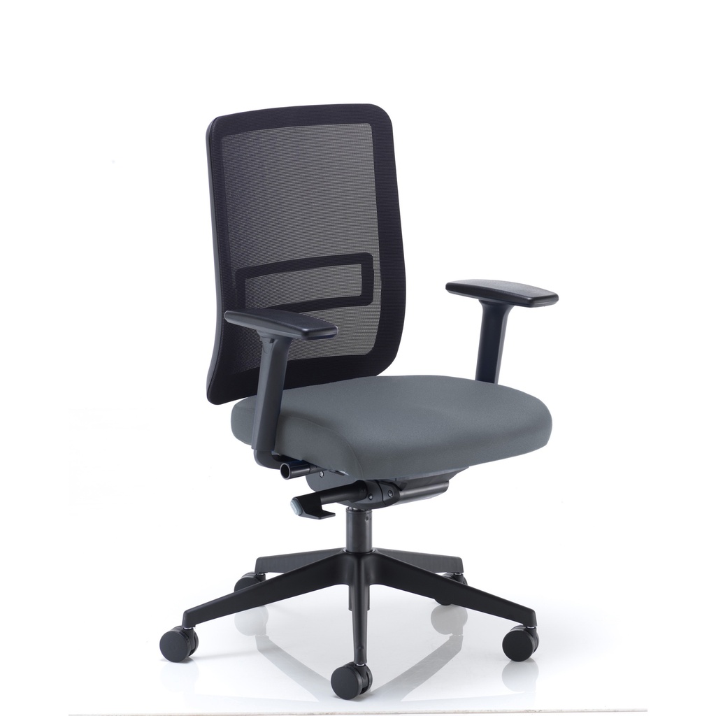 Ergonomic Posture Chair Height and Depth Adjustable Arms Grey Phoenix Blizzard YP081