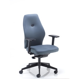 [CH2001GR] Deluxe Ergonomic Posture Chair Height and Depth Adjustable Arms Grey YP081 Pheonix Blizzard