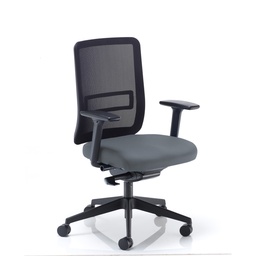 [CH2002GR] Ergonomic Posture Chair Height and Depth Adjustable Arms Grey Phoenix Blizzard YP081